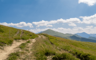 A hiking trail winding through the Idaho foothills, representing an active lifestyle after knee recovery
