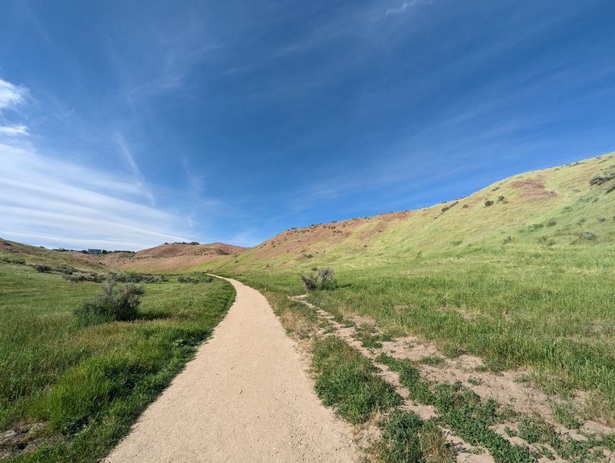 when-knee-replacement-makes-sense-boise-adults Adult hiker walking on a scenic trail in the Idaho foothills