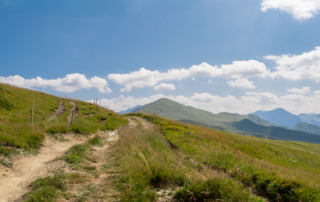 A hiking trail winding through the Idaho foothills, representing an active lifestyle after knee recovery